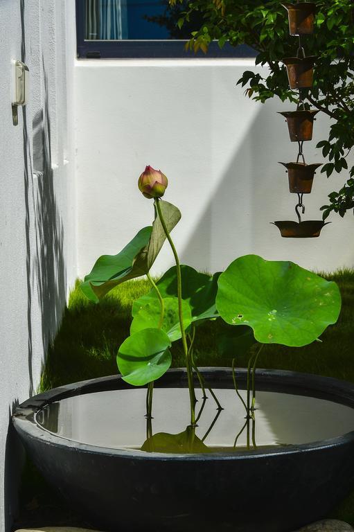 Begonia B&B T'ai-tung Extérieur photo
